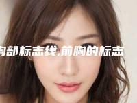 胸部标志线,前胸的标志线