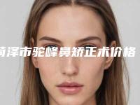 菏泽市驼峰鼻矫正术价格表2025版一览-均价驼峰鼻矫正术19249元