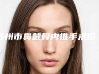 苏州市鼻截骨内推手术价格价位表展示(鼻截骨内推手术大概是什么价位)