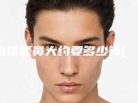 自体隆鼻大约要多少钱(自体隆鼻大概需要多少钱)