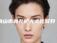 舟山市鼻孔扩大术比较好的医生(李进舟医生实力强劲_不可小觑)