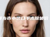 萍乡市小切口手术除皱价格表全新曝光-萍乡市小切口手术除皱均价为3133元