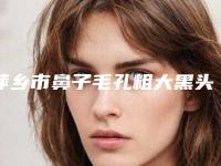 萍乡市鼻子毛孔粗大黑头治疗医院排名前十名超赞(萍乡星悦医疗美容诊所实力有保障)