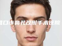 营口市鼻孔改形手术医院的价格(辽宁省营口市中心医院整形美容科十大资料到手可详查)