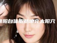 襄阳自体脂肪填充太阳穴的价格由什么因素决定呢