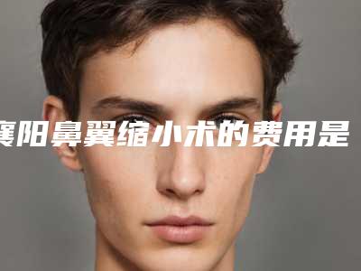 襄阳鼻翼缩小术的费用是怎样的(襄阳鼻翼缩小术手术的价格)