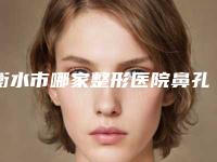 衡水市哪家整形医院鼻孔缩小整型好(深州逸丽诊所医疗美容皮服专科收费标准不贵)