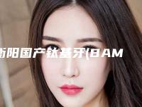 衡阳国产钛基牙(BAM)种植牙手术的费用是多少钱