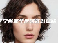 辽宁省哪个医院能做鼻修复降低鼻子(葫芦岛佳宁医学美容人气口碑实力汇总)
