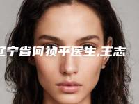 辽宁省何祯平医生,王志军医生你更喜欢哪个呢