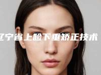 辽宁省上睑下垂矫正技术法医院哪儿好(大连妃梵医疗美容诊所规模资质人气口碑数一数二)
