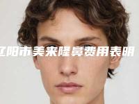 辽阳市美来隆鼻费用表明细崭新曝光(辽阳市美来隆鼻费用多么)