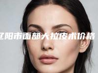 辽阳市面部大拉皮术价格(价目)(信息)查询-均价面部大拉皮术16924元