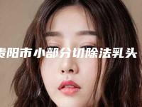 贵阳市小部分切除法乳头缩小术价格(费用)清单项目2025版一览-贵阳市小部分切除法乳头缩小术费用表
