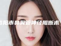 资阳市鼻翼管神经阻断术医生排行top怎么选(胡霞医生实力口碑揭秘)