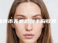 赣州市无痕微创丰胸收费标准你知道吗-赣州市立医院烧伤整形创面修复外科价格费用多少钱