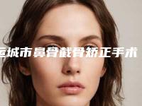 运城市鼻骨截骨矫正手术医生排行榜揭晓上榜top4-运城市鼻骨截骨矫正手术整形医生