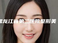 黑龙江省第二医院整形美容科与黑龙江艺星美容医院各方技术和审美在线PK