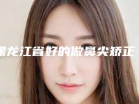黑龙江省好的做鼻尖矫正手术医院推荐:做鼻尖矫正手术医院top30一览榜单公布