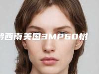黔西南美国3MP60树脂补牙的术后感染及安全性