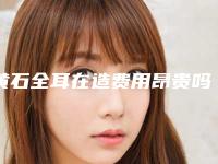 黄石全耳在造费用昂贵吗「黄石全耳在造的费用和什么因素有关呢」