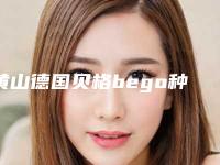 黄山德国贝格bego种植牙都有哪些副作用
