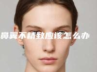 鼻翼不精致应该怎么办