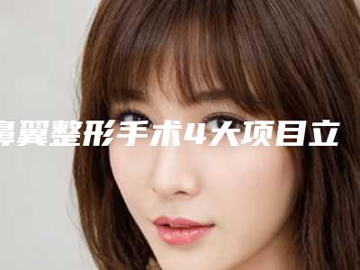 鼻翼整形手术4大项目立体五官就是让你“靓”(鼻部整形术)
