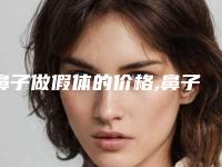 鼻子做假体的价格,鼻子进口假体多少钱