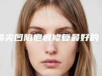 鼻尖凹陷疤痕修复最好的医生王哈尔滨市(刘龙医生连续几年上榜)