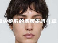 鼻尖整形的费用贵吗（鼻尖整形术费用多少钱）