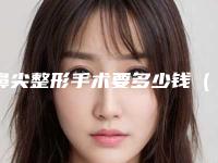 鼻尖整形手术要多少钱(鼻尖整形手术要多少钱一次)