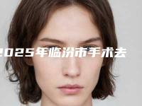 2025年临汾市手术去颈纹医院排行榜前10强榜供你选择(临汾莱灵创医疗美容诊所实力靠谱推荐给你)