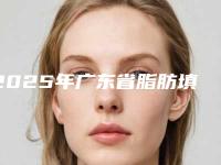2025年广东省脂肪填充大腿整形医院在榜名单前十佳名单综合一览