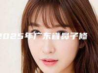 2025年广东省鼻子修补术整形医院上榜名单前十哪家更好