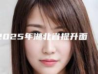 2025年湖北省提升面颊手术医院排名前十位超全评测(武汉诠美医疗美容门诊部是权威)
