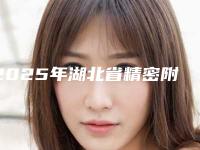 2025年湖北省精密附着体义齿医院在榜清单前10名详细分析-湖北省精密附着体义齿口腔医院