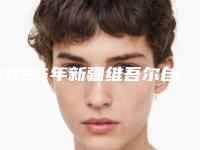 2025年新疆维吾尔自治区漂眉收费明细手术咨询(新疆维吾尔自治区漂眉费用要支付多少)
