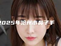 2025年沧州市鼻子手术变小整形医院在榜清单前十位口碑技术均在线