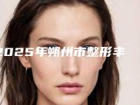 2025年朔州市整形丰胸整形医院排行榜前十强强榜靠谱名单一览