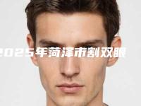 2025年菏泽市割双眼皮修整整形医院在榜名单推荐一览