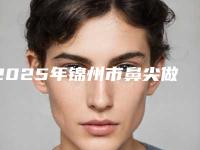 2025年锦州市鼻尖做整型医院上榜名单前十名翘首以盼(北镇尽一美医疗美容诊所前三的口碑排名推荐)