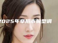 2025年阜阳市胸型调整塑型整形医院排行十强年度整合